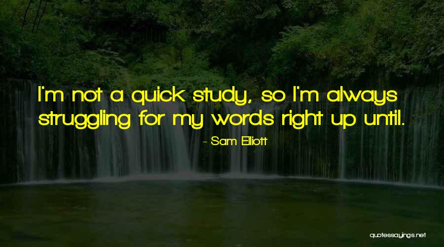 Rione Pizza Quotes By Sam Elliott Rione Pizza Quotes By Sam Elliott