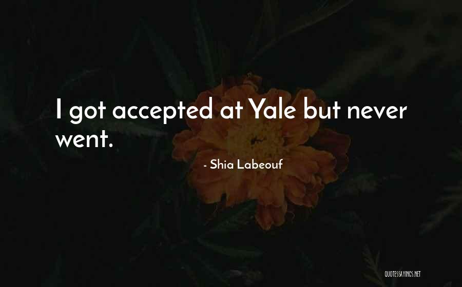 Rionna Gibbons Quotes By Shia Labeouf Rionna Gibbons Quotes By Shia Labeouf
