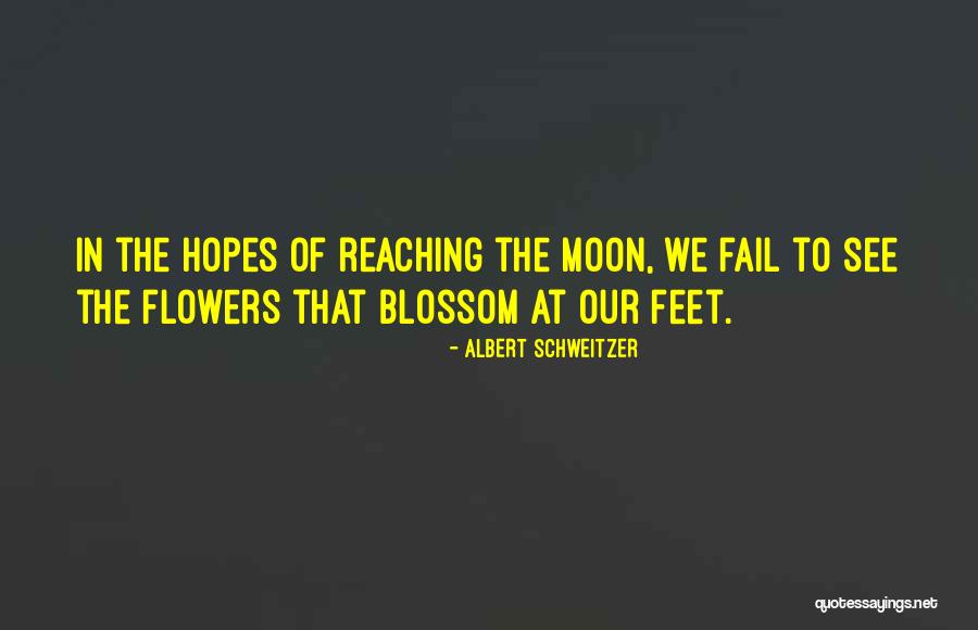 Riot Games Quotes By Albert Schweitzer Riot Games Quotes By Albert Schweitzer
