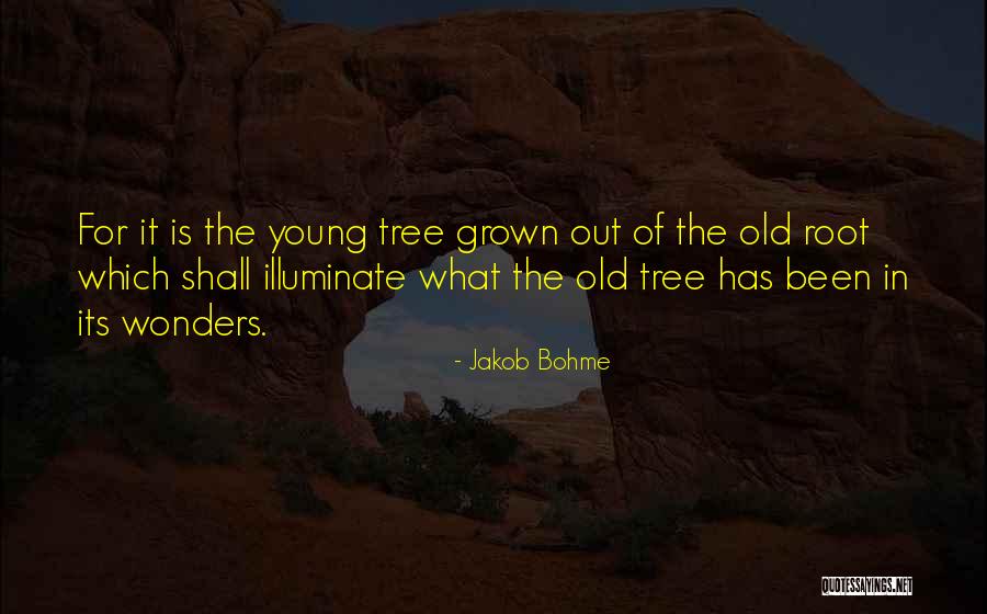 Riot Games Quotes By Jakob Bohme Riot Games Quotes By Jakob Bohme
