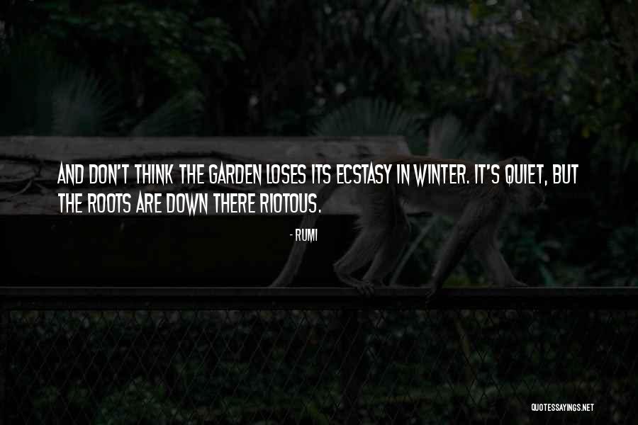 Riotous Quotes By Rumi Riotous Quotes By Rumi
