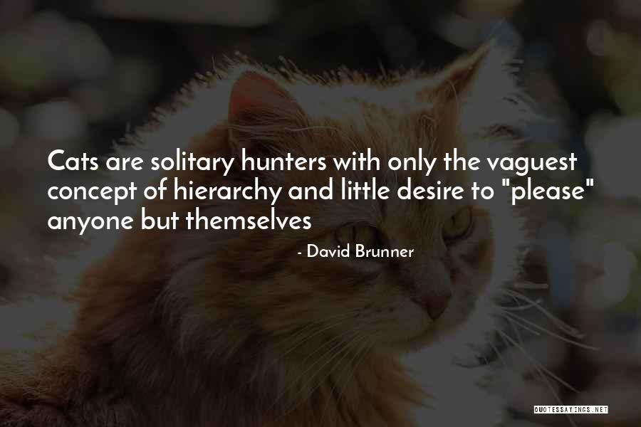 Rioux Vision Quotes By David Brunner Rioux Vision Quotes By David Brunner