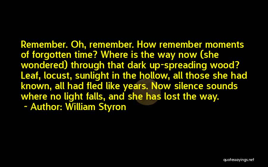 Rip Grandma Short Quotes By William Styron