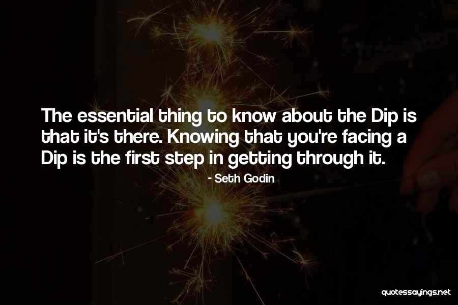 Ripani Borse Quotes By Seth Godin Ripani Borse Quotes By Seth Godin