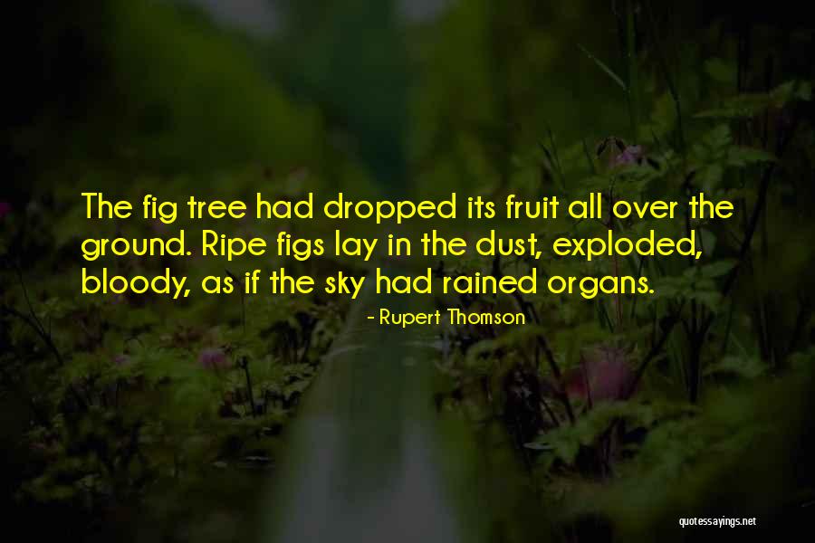 Ripe Quotes By Rupert Thomson Ripe Quotes By Rupert Thomson