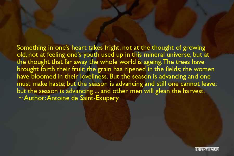 Ripened Fruit Quotes By Antoine De Saint-Exupery