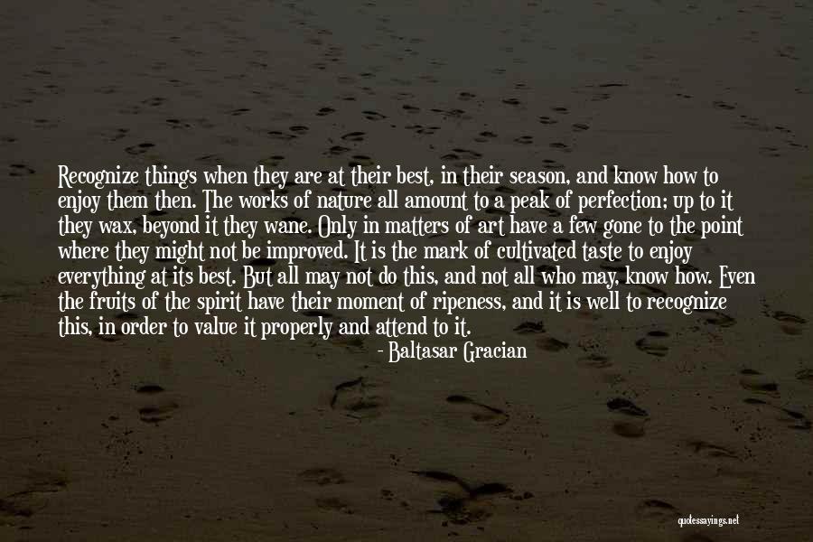 Ripeness Quotes By Baltasar Gracian Ripeness Quotes By Baltasar Gracian