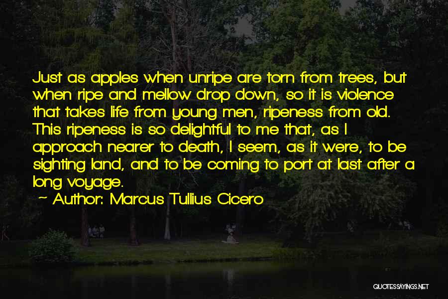 Ripeness Quotes By Marcus Tullius Cicero