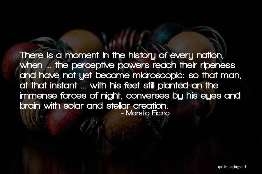 Ripeness Quotes By Marsilio Ficino Ripeness Quotes By Marsilio Ficino