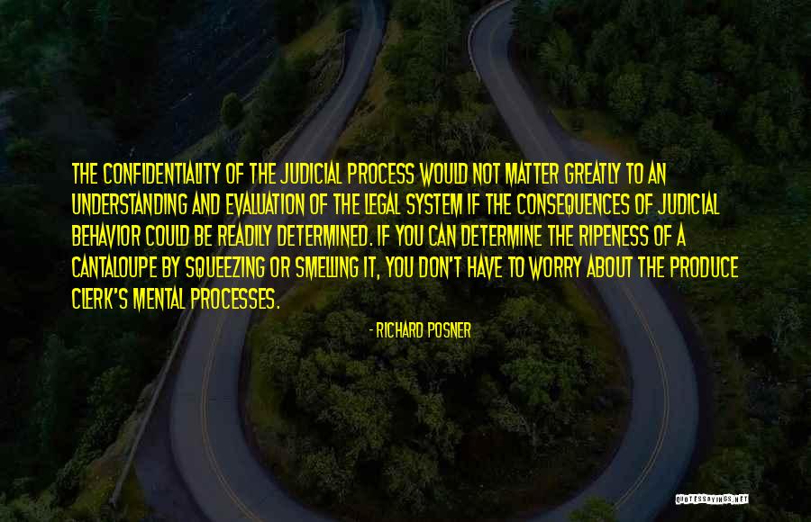 Ripeness Quotes By Richard Posner