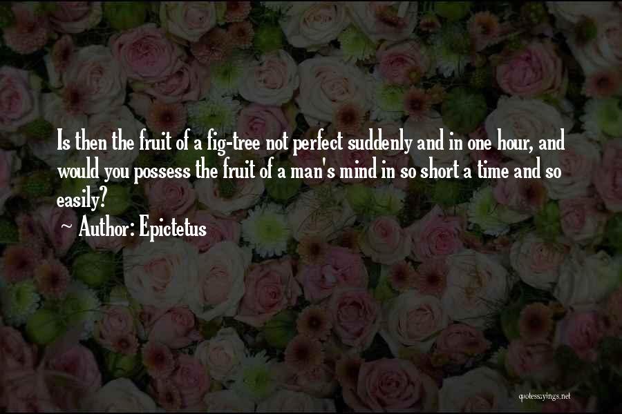 Ripening Fruit Quotes By Epictetus