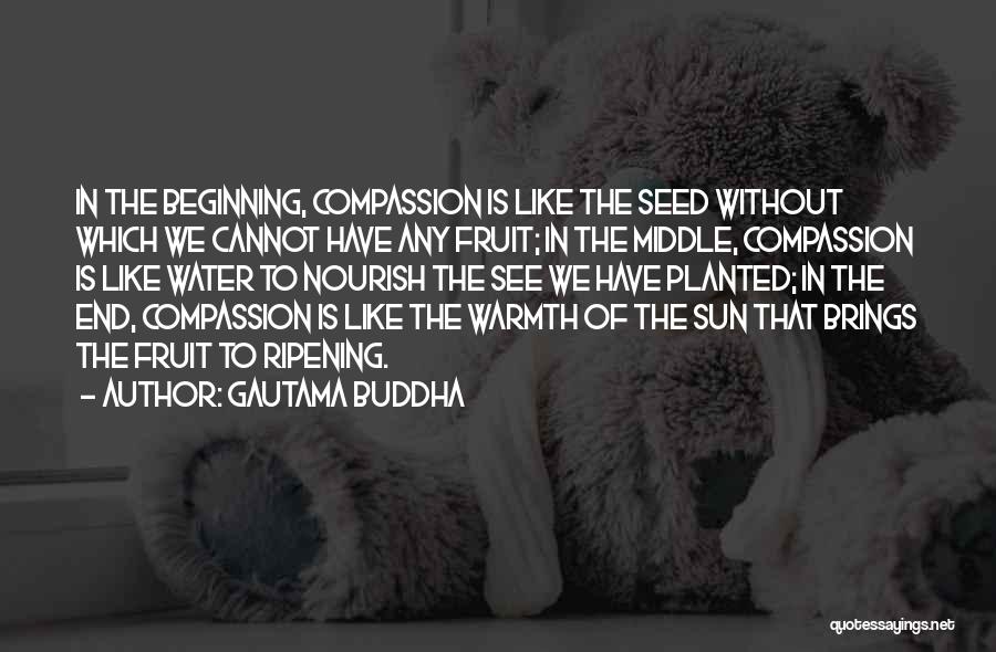 Ripening Fruit Quotes By Gautama Buddha