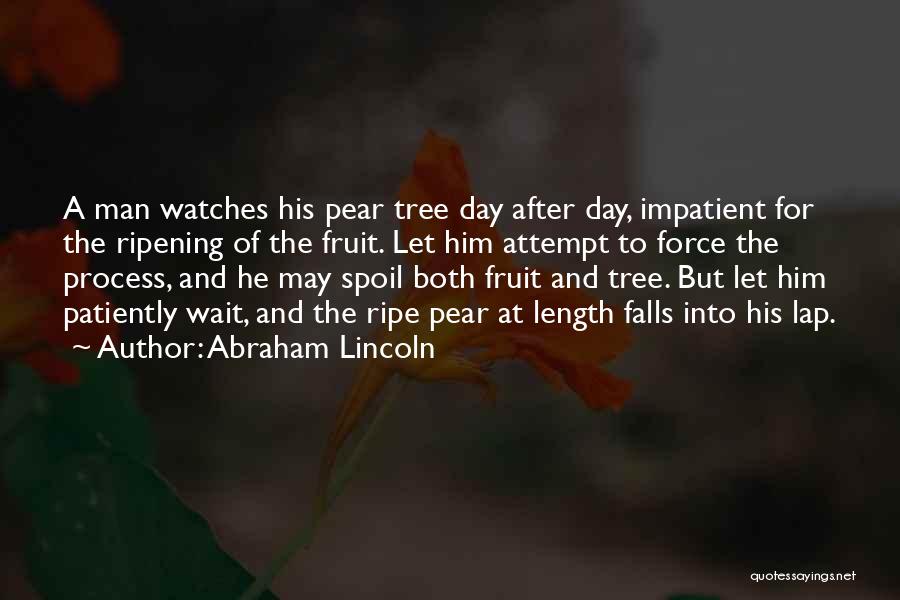 Ripening Quotes By Abraham Lincoln