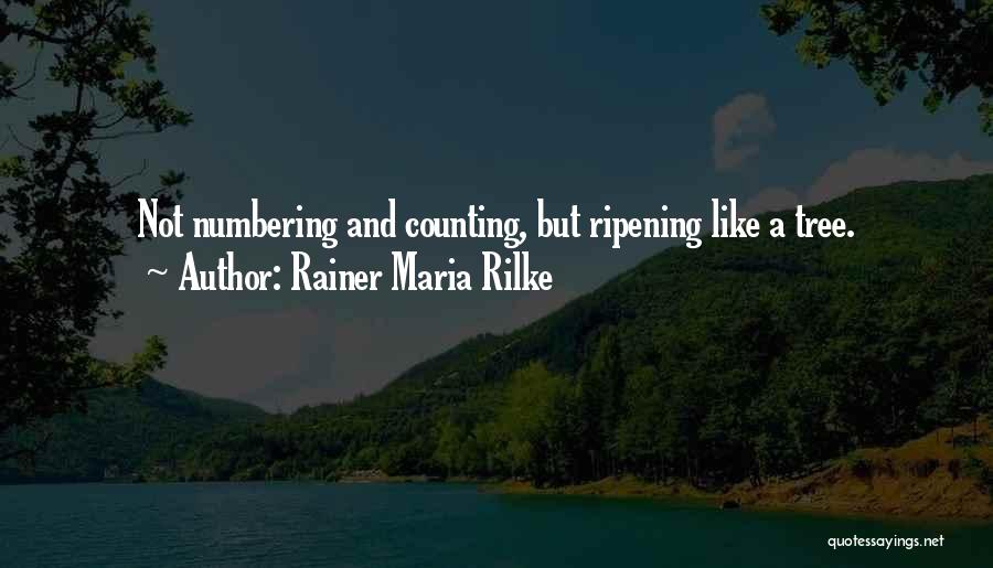 Ripening Quotes By Rainer Maria Rilke