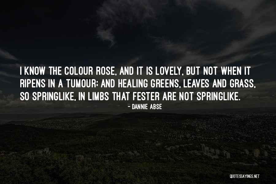 Ripens Quotes By Dannie Abse Ripens Quotes By Dannie Abse