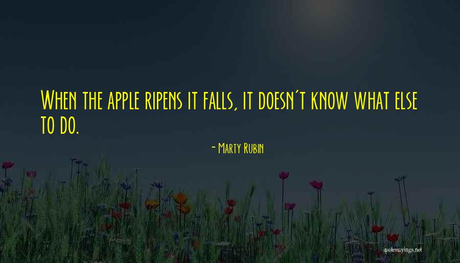 Ripens Quotes By Marty Rubin Ripens Quotes By Marty Rubin