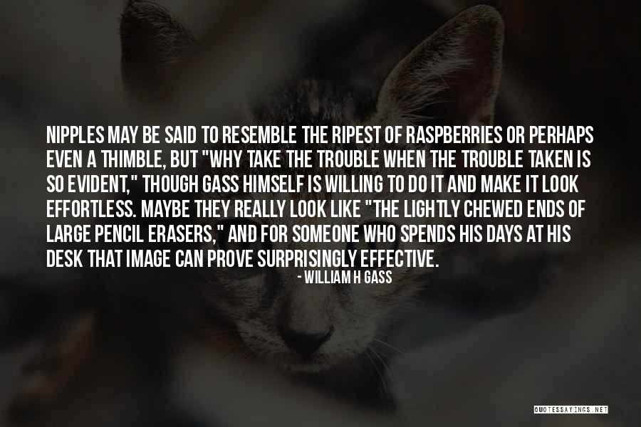 Ripest Quotes By William H Gass Ripest Quotes By William H Gass