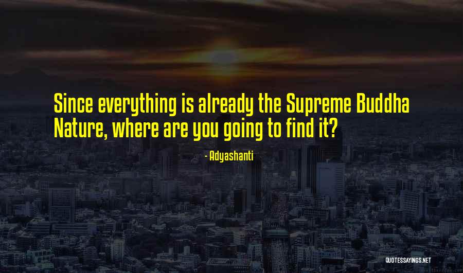 Ripostes Ezra Quotes By Adyashanti Ripostes Ezra Quotes By Adyashanti
