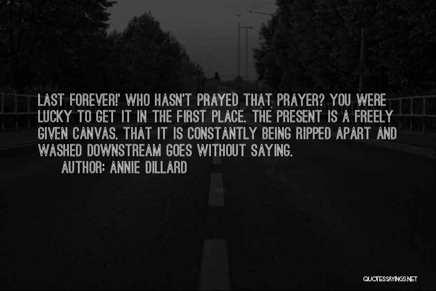 Ripped Apart Quotes By Annie Dillard