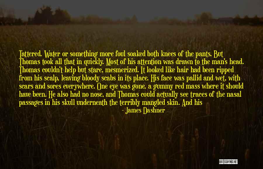 Ripped Pants Quotes By James Dashner