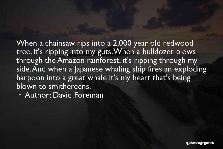 Ripping A Heart Out Quotes By David Foreman