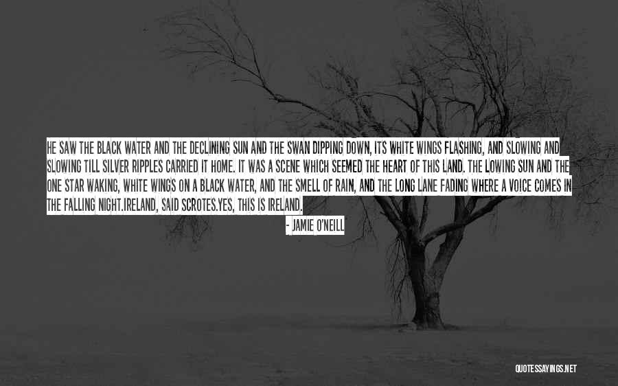 Ripples In Water Quotes By Jamie O'Neill Ripples In Water Quotes By Jamie O'Neill