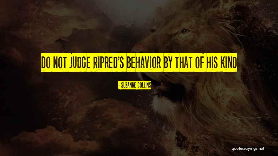 Ripred From Gregor Quotes By Suzanne Collins Ripred From Gregor Quotes By Suzanne Collins