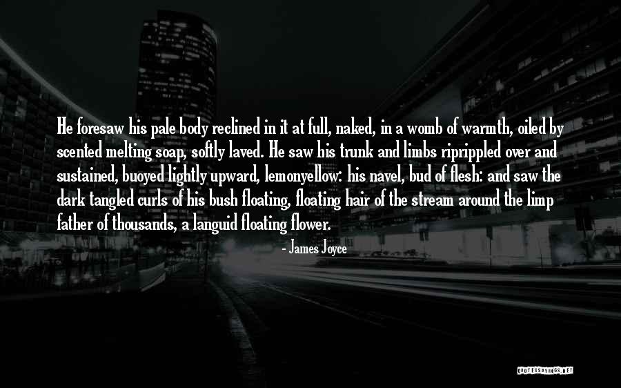 Riprippled Quotes By James Joyce Riprippled Quotes By James Joyce