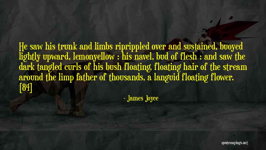 Riprippled Quotes By James Joyce Riprippled Quotes By James Joyce