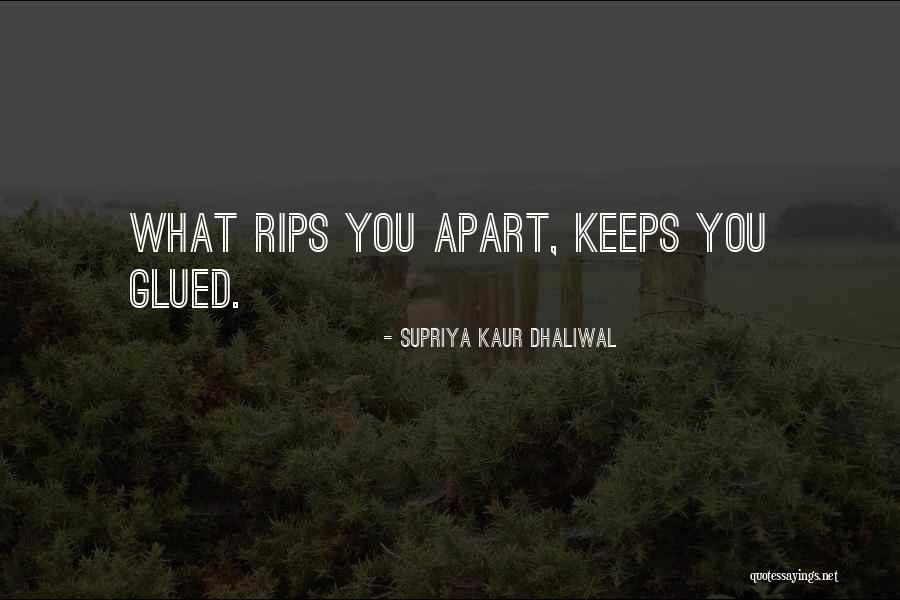 Rips Quotes By Supriya Kaur Dhaliwal Rips Quotes By Supriya Kaur Dhaliwal