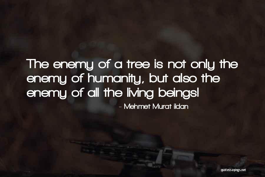 Riquet Mahoyaku Quotes By Mehmet Murat Ildan Riquet Mahoyaku Quotes By Mehmet Murat Ildan