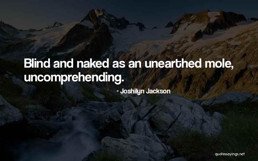 Risa Koizumi Quotes By Joshilyn Jackson