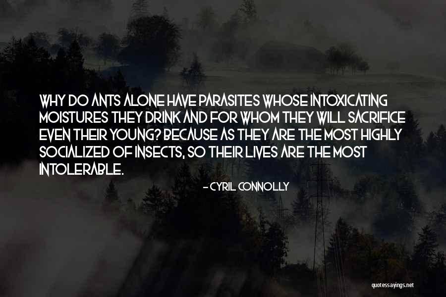 Risaia Quotes By Cyril Connolly Risaia Quotes By Cyril Connolly