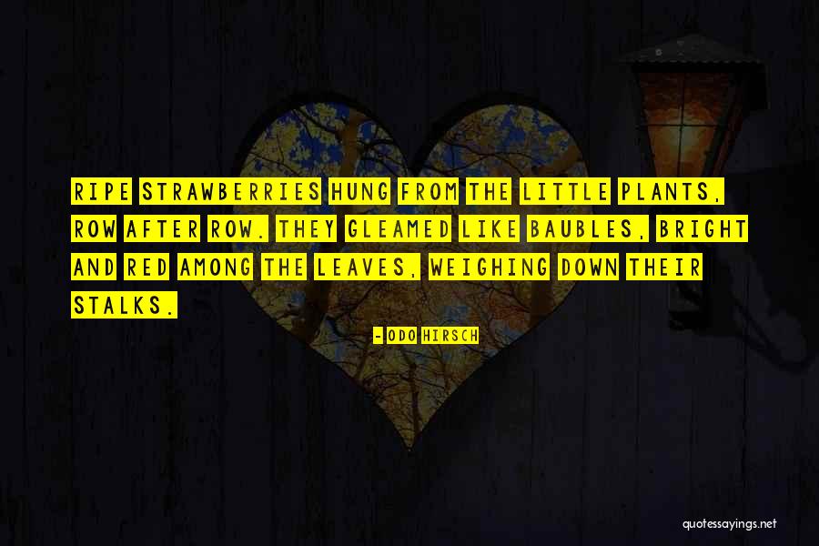 Risasinmas Quotes By Odo Hirsch Risasinmas Quotes By Odo Hirsch