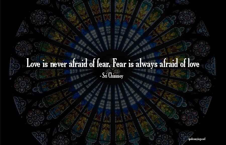 Riscar Pneus Quotes By Sri Chinmoy Riscar Pneus Quotes By Sri Chinmoy