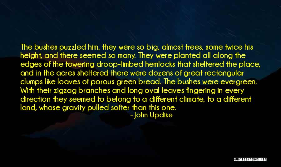 Rischard Oklahoma Quotes By John Updike Rischard Oklahoma Quotes By John Updike