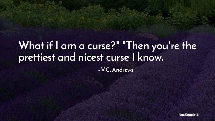 Rise Above Higher Quotes By V.C. Andrews Rise Above Higher Quotes By V.C. Andrews