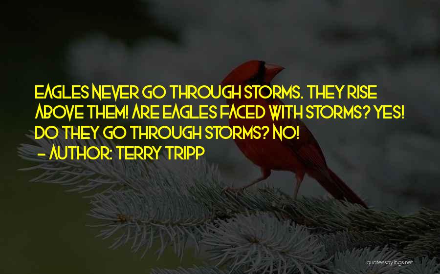 Rise Above Them Quotes By Terry Tripp