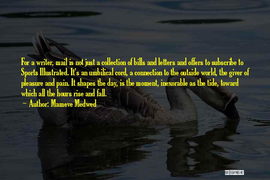 Rise And Fall Quotes By Mameve Medwed
