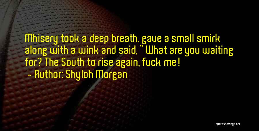 Rise And Rise Again Quotes By Shyloh Morgan