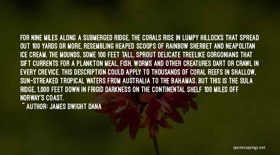 Rise From Darkness Quotes By James Dwight Dana