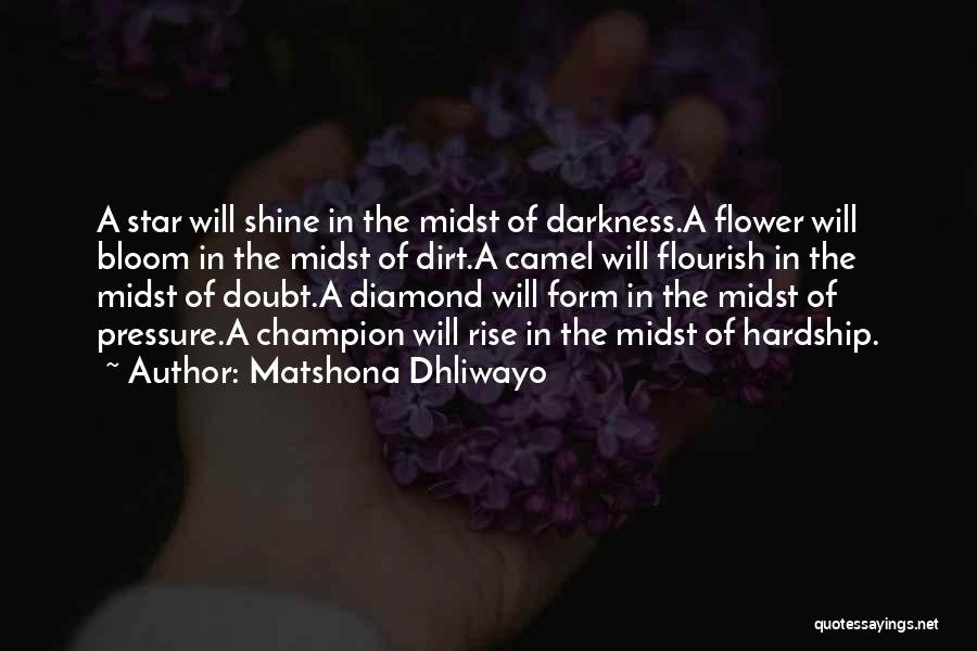 Rise & Shine Quotes By Matshona Dhliwayo