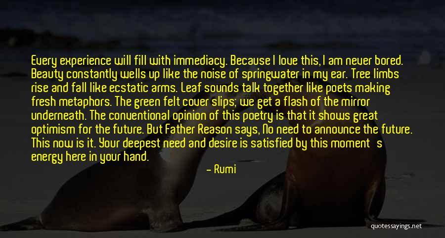 Rise Together Quotes By Rumi Rise Together Quotes By Rumi