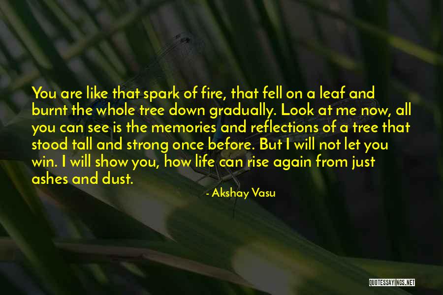 Rise Up From The Ashes Quotes By Akshay Vasu