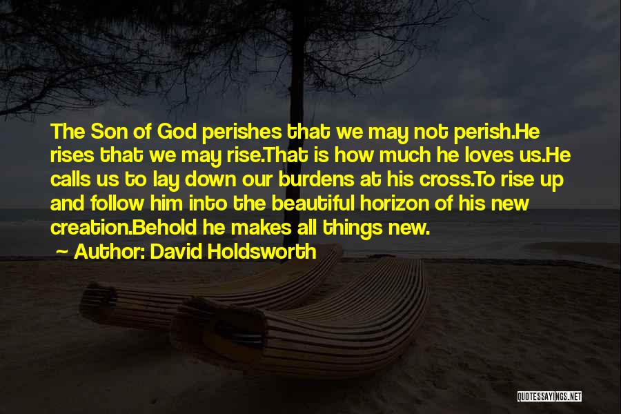 Rise Up Love Quotes By David Holdsworth