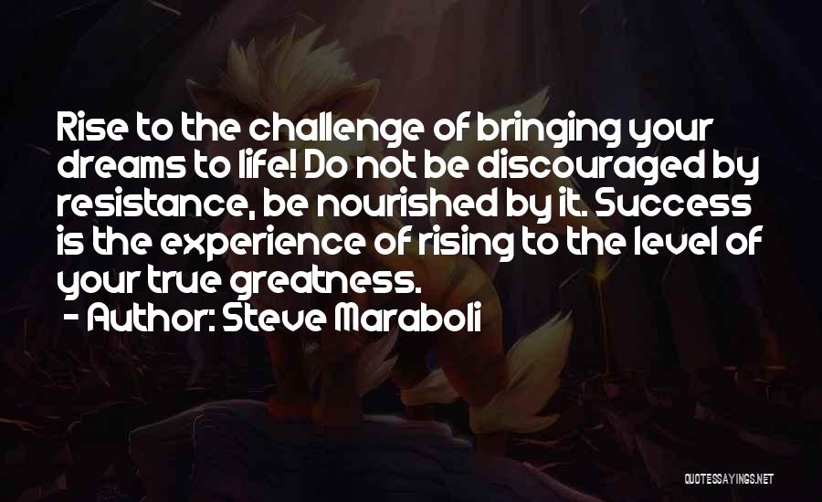 Rise Up To The Challenge Quotes By Steve Maraboli