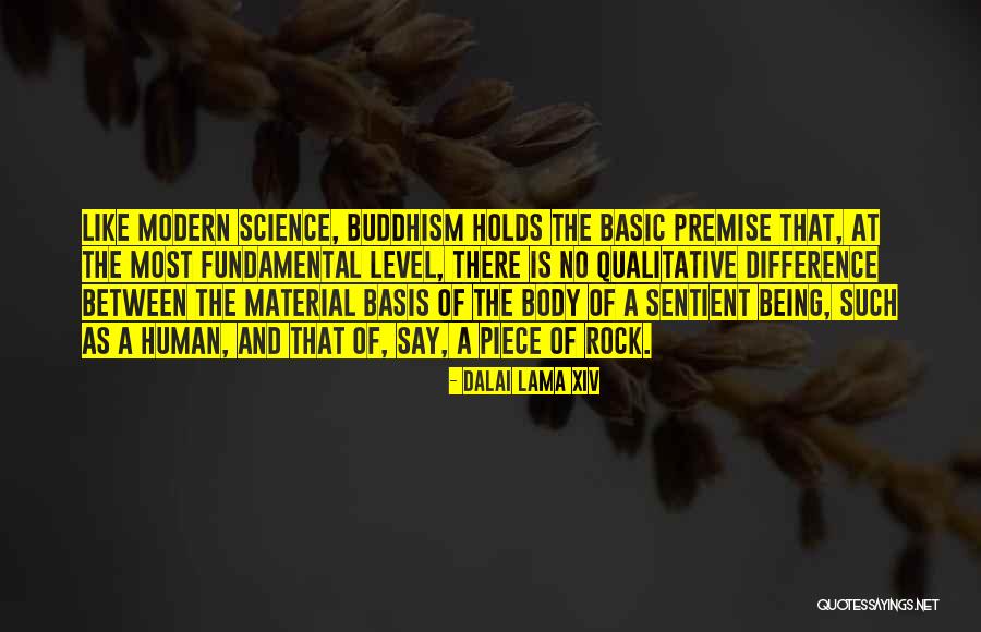 Rishi Amit Ray Quotes By Dalai Lama XIV Rishi Amit Ray Quotes By Dalai Lama XIV
