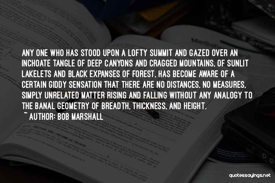 Rising And Falling Quotes By Bob Marshall