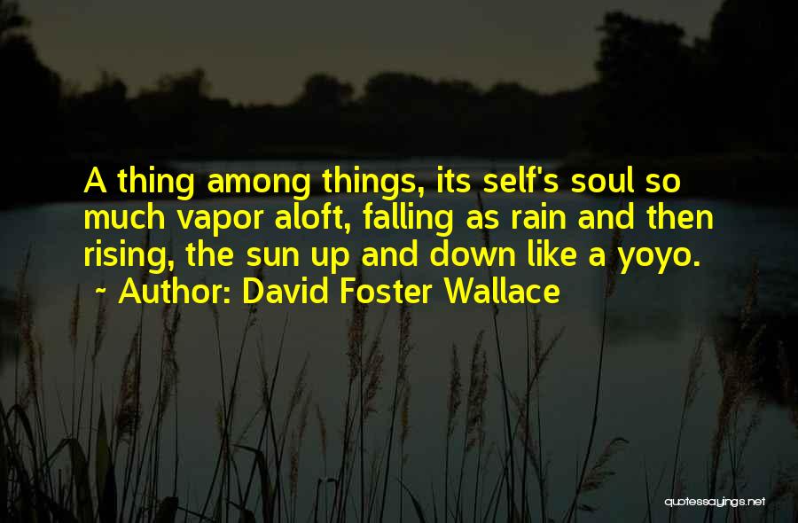 Rising And Falling Quotes By David Foster Wallace