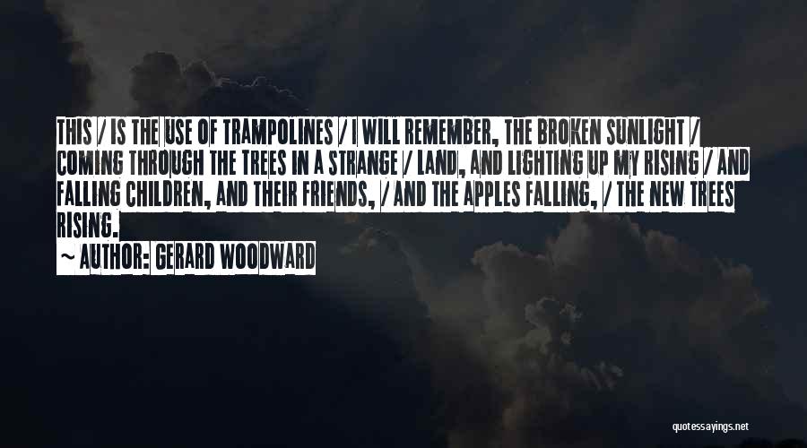 Rising And Falling Quotes By Gerard Woodward